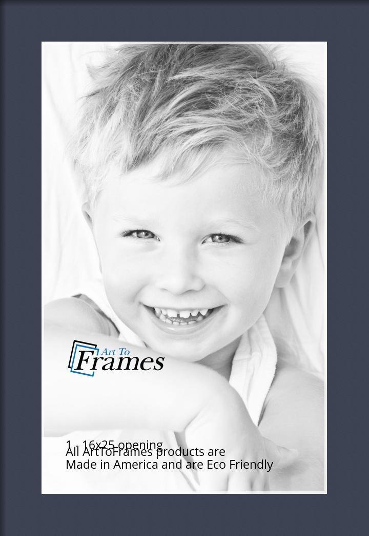 ArtToFrames Custom Blue Jay Picture Photo Frame Mat Matting Board LG ...
