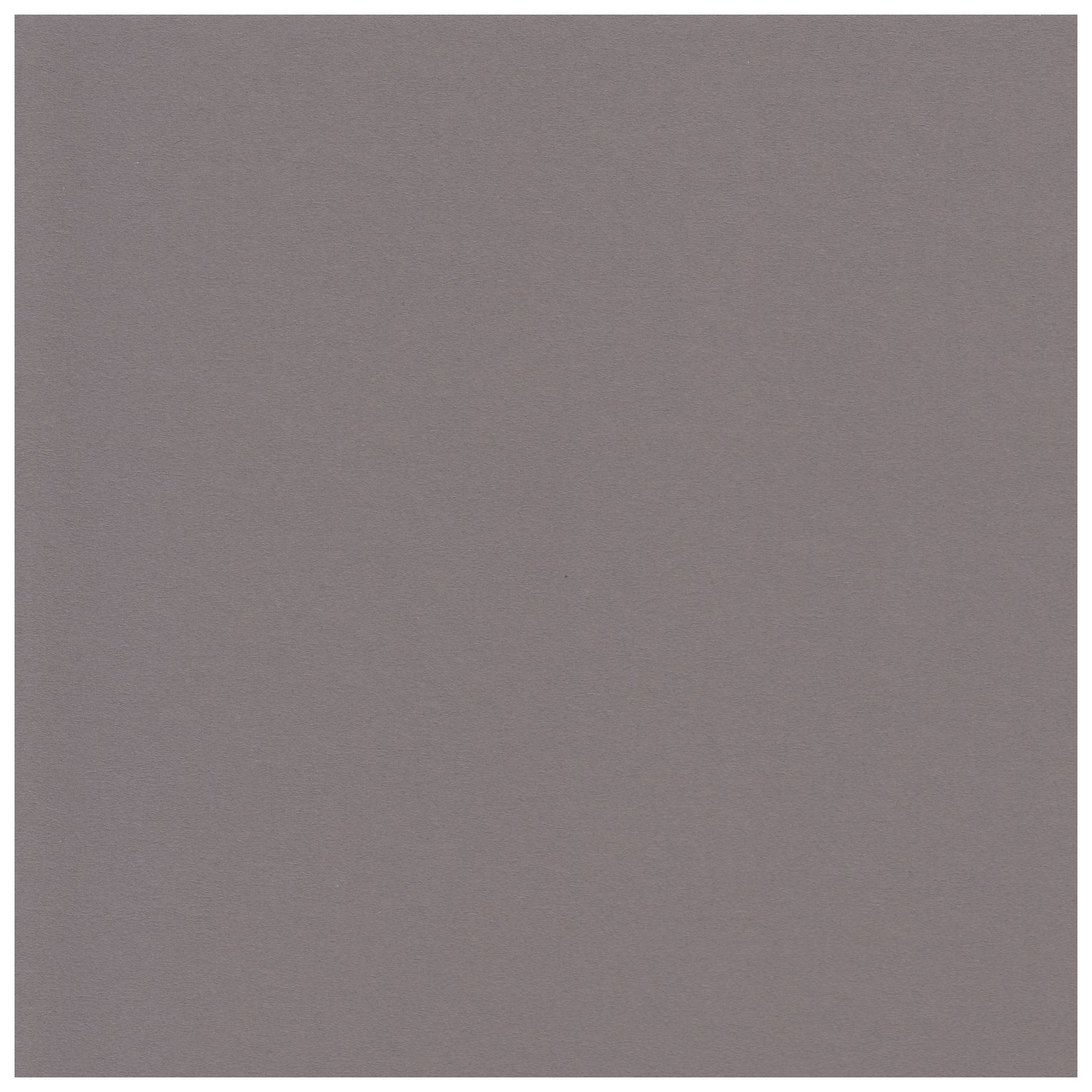 Bild 244 von 489