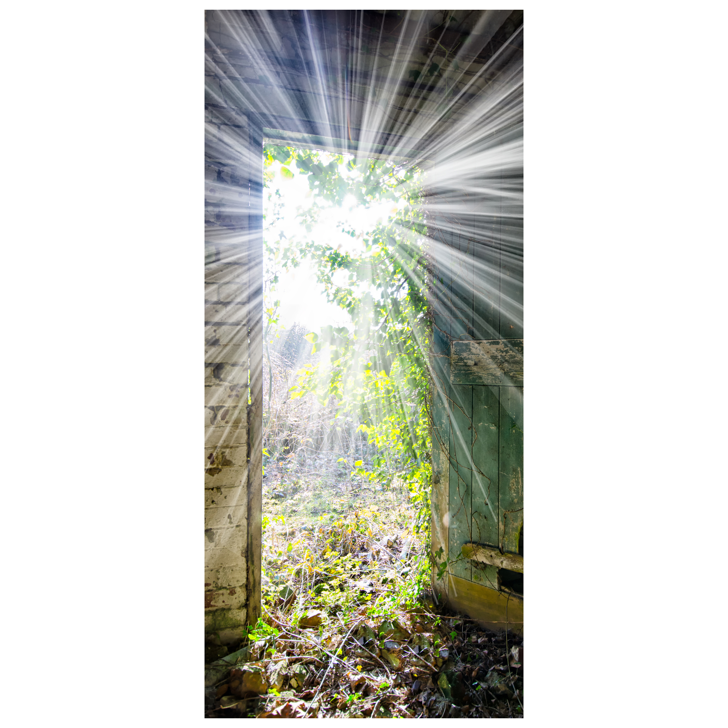 DoorPix 746 3D Door Sticker Decal Mural - Matte Bubble Free - Picture 45 of 90