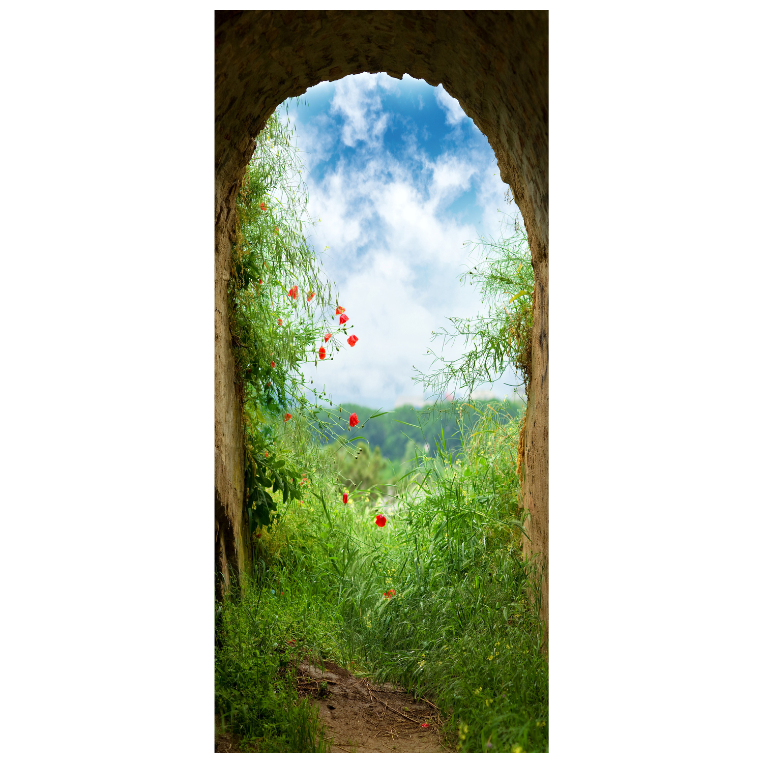 DoorPix 746 3D Door Sticker Decal Mural - Matte Bubble Free - Picture 55 of 90