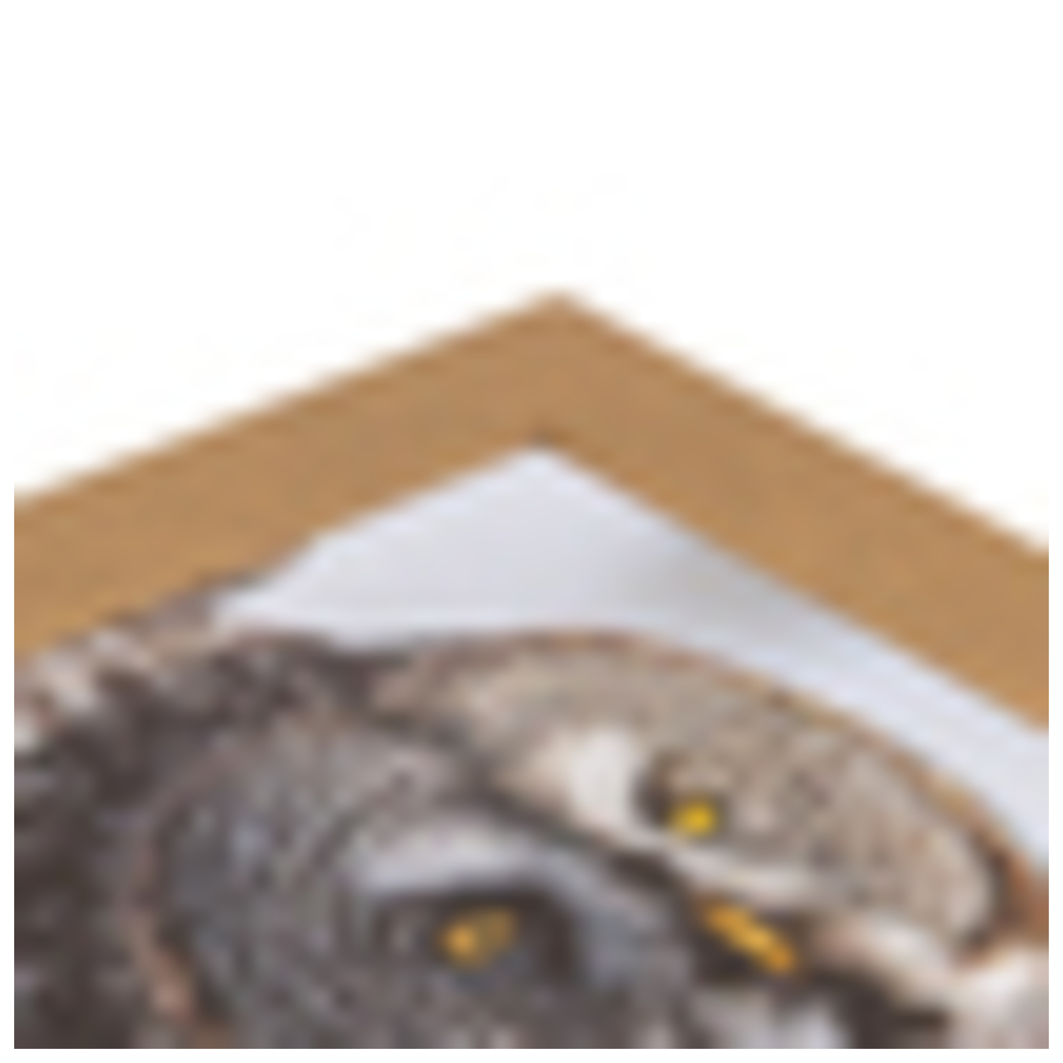 ArtToFrames 4 x 29" Modern Custom Picture Poster Frame 2" Wide A48Z - Picture 26 of 49