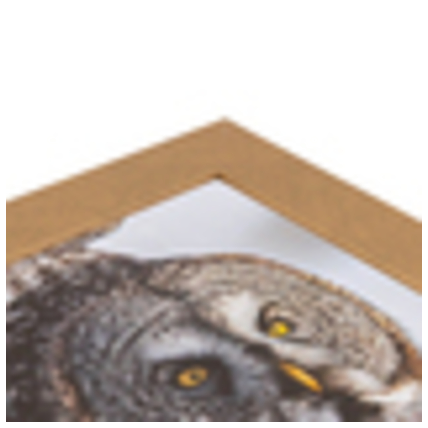 ArtToFrames 12 x 19" Modern Custom Picture Poster Frame 2" Wide A48IJ - Picture 26 of 54
