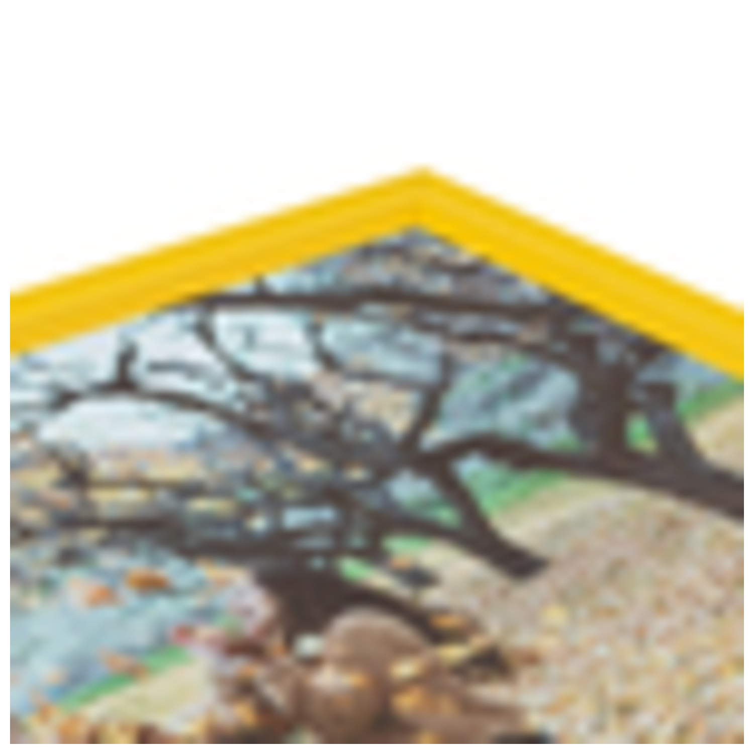 ArtToFrames 9 x 20" Traditional Custom Picture Poster Frame 1" Wide A9FK - Picture 10 of 37