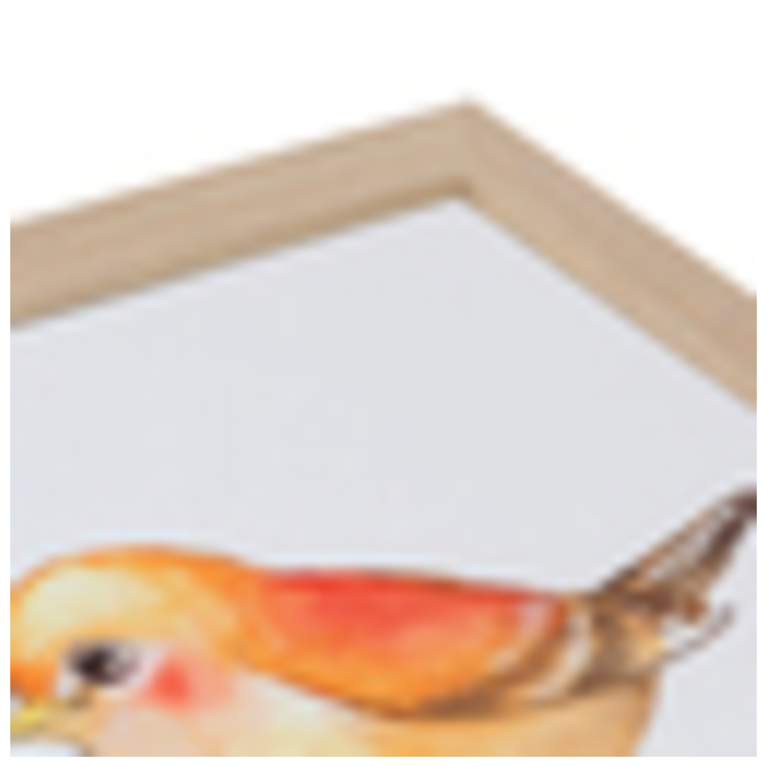 ArtToFrames 24 x 24" Moderner individueller Bilderrahmen Poster 1,25" breit A46RC - Bild 39 von 68