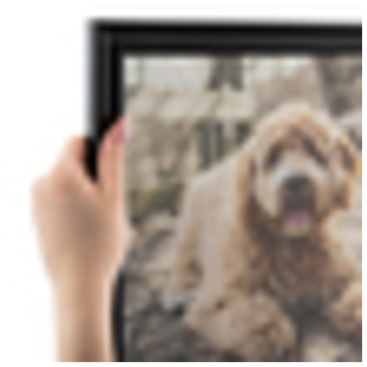 ArtToFrames Cornice Poster Quadro Personalizzata Tradizionale 20 x 28" Larghezza 1" A9PA - Foto 60 di 65